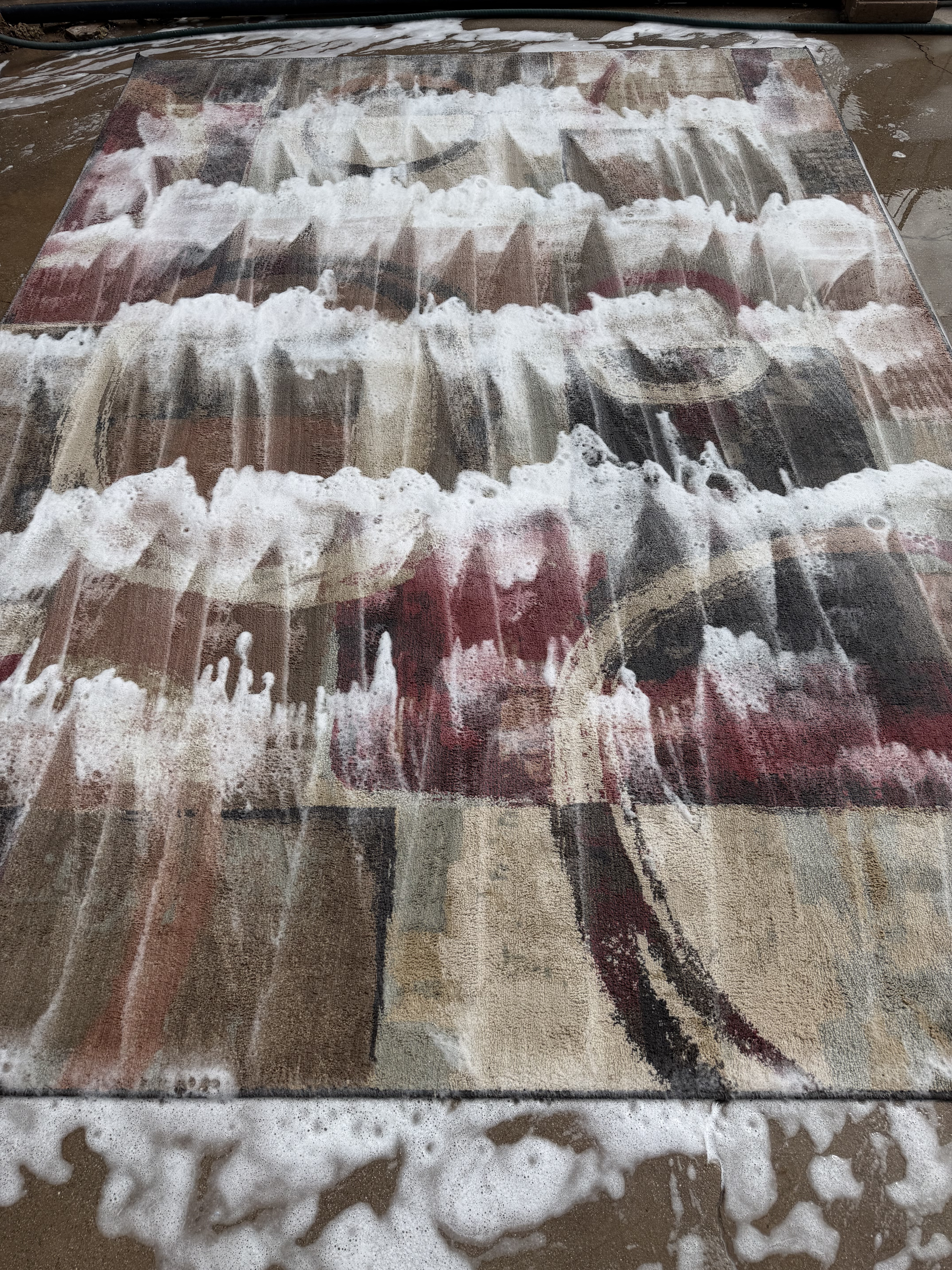 Rug being professionally cleaned